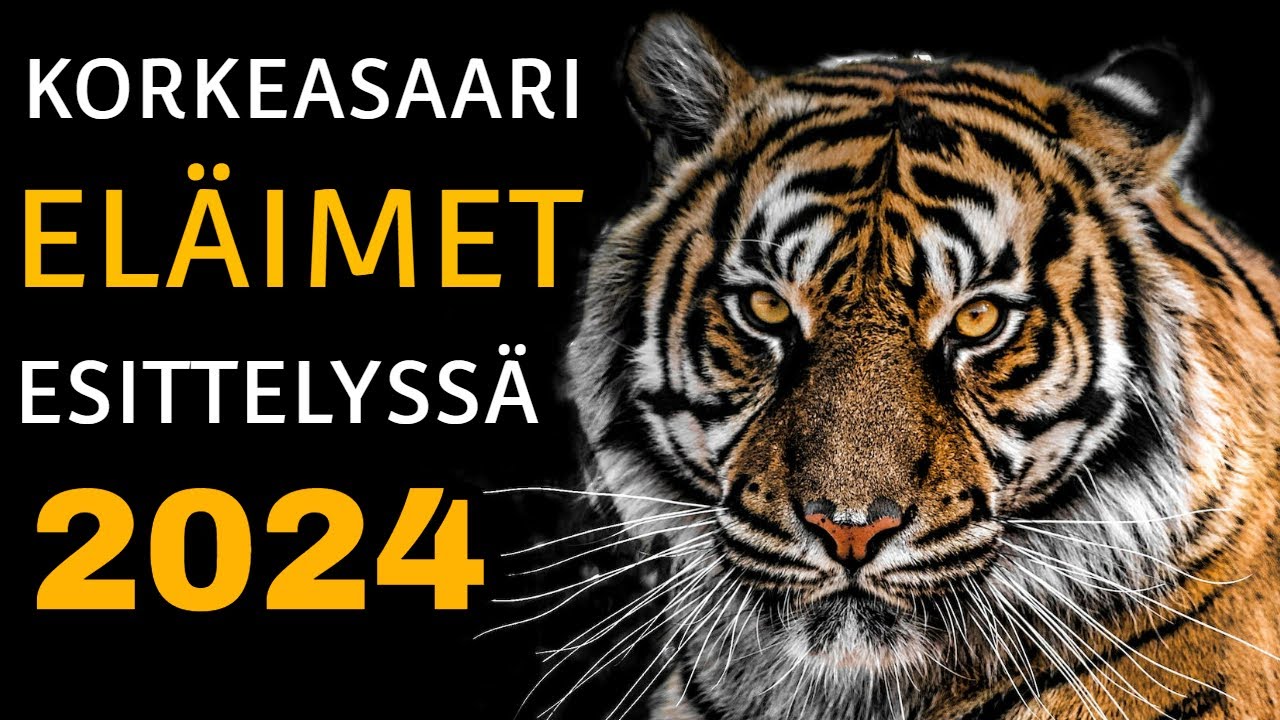 Korkeasaari Eläimet Esittelyssä 2024 (HAUSKA)