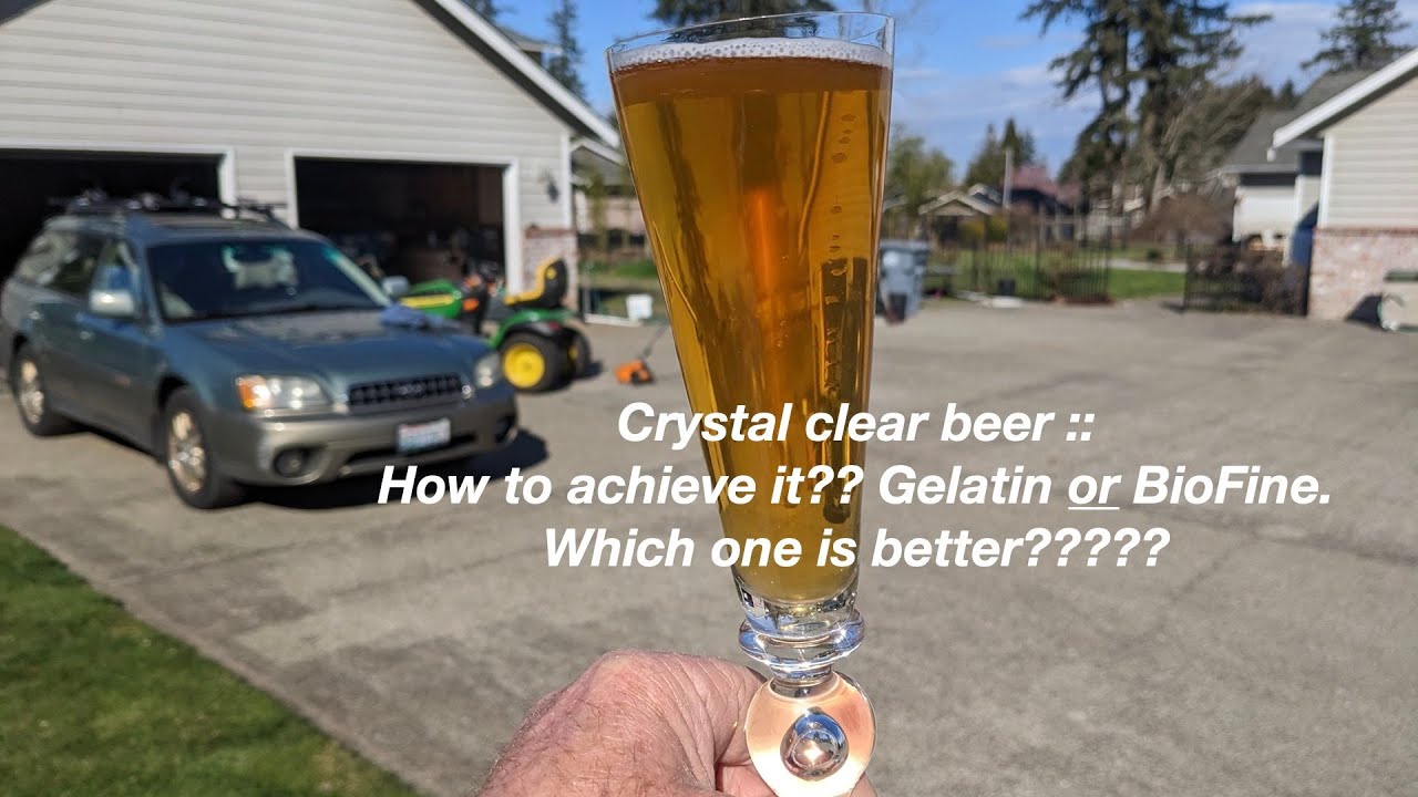 Homebrewing Clarification :: BioFine vs. Gelatin