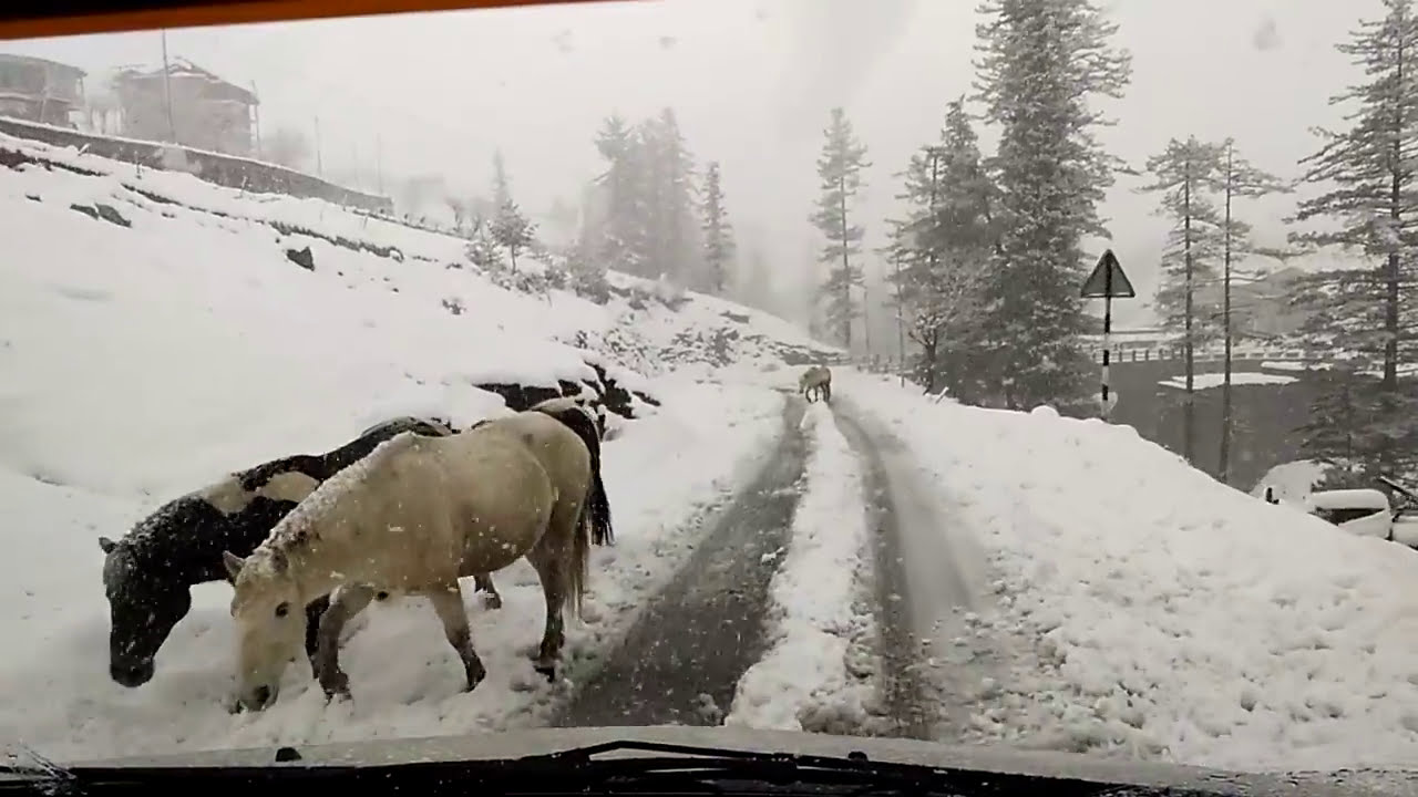 SOLANG VALLEY TO MANALI (21.02.2017)