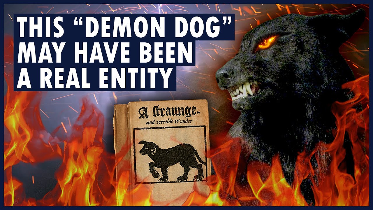 Scientists think there's truth in this demon dog folklore. | THE BLACK DOG OF BUNGAY