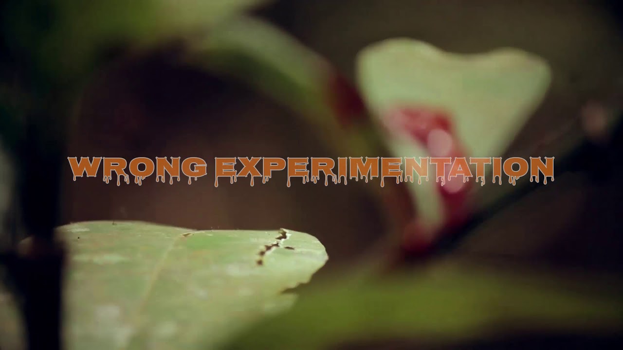 WRONG EXPRIMENTATION