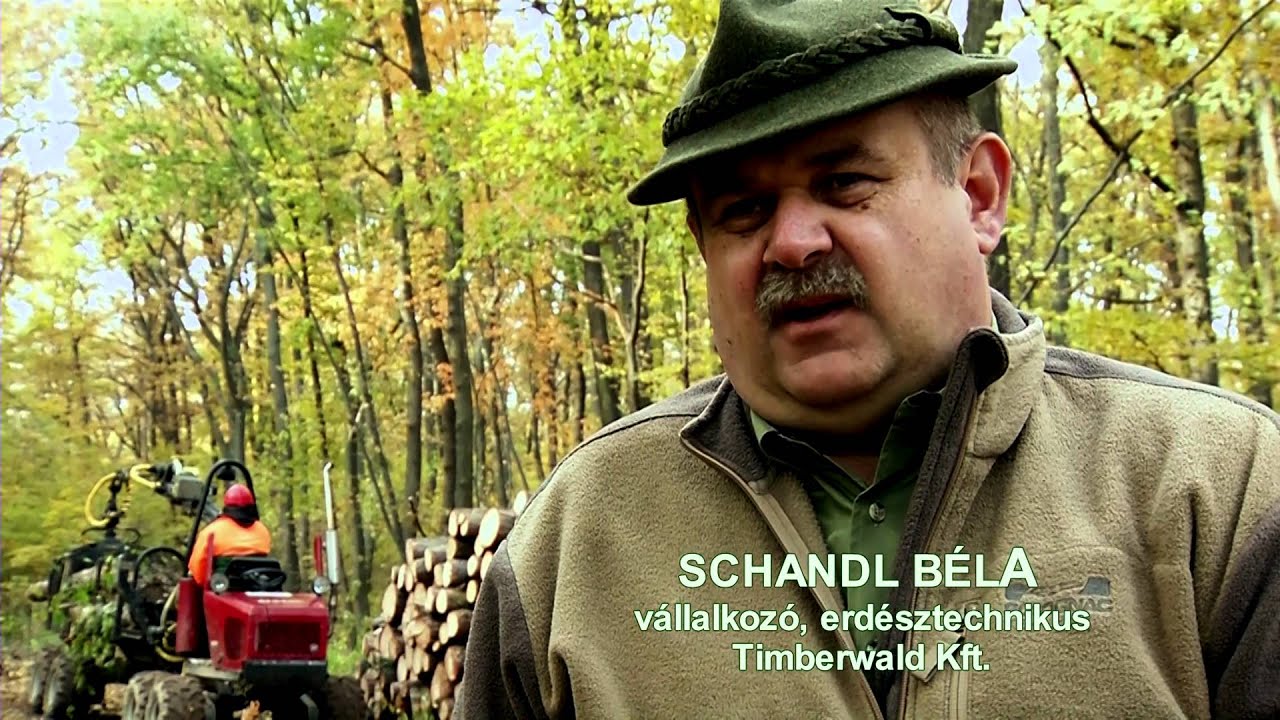 Erdésztechnikus
