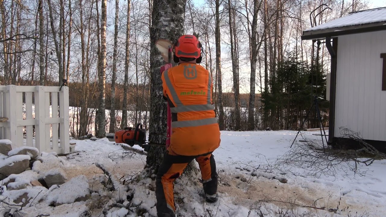 Metsolan Metsäkoulu 304 - 5 virhettä kaadossa?