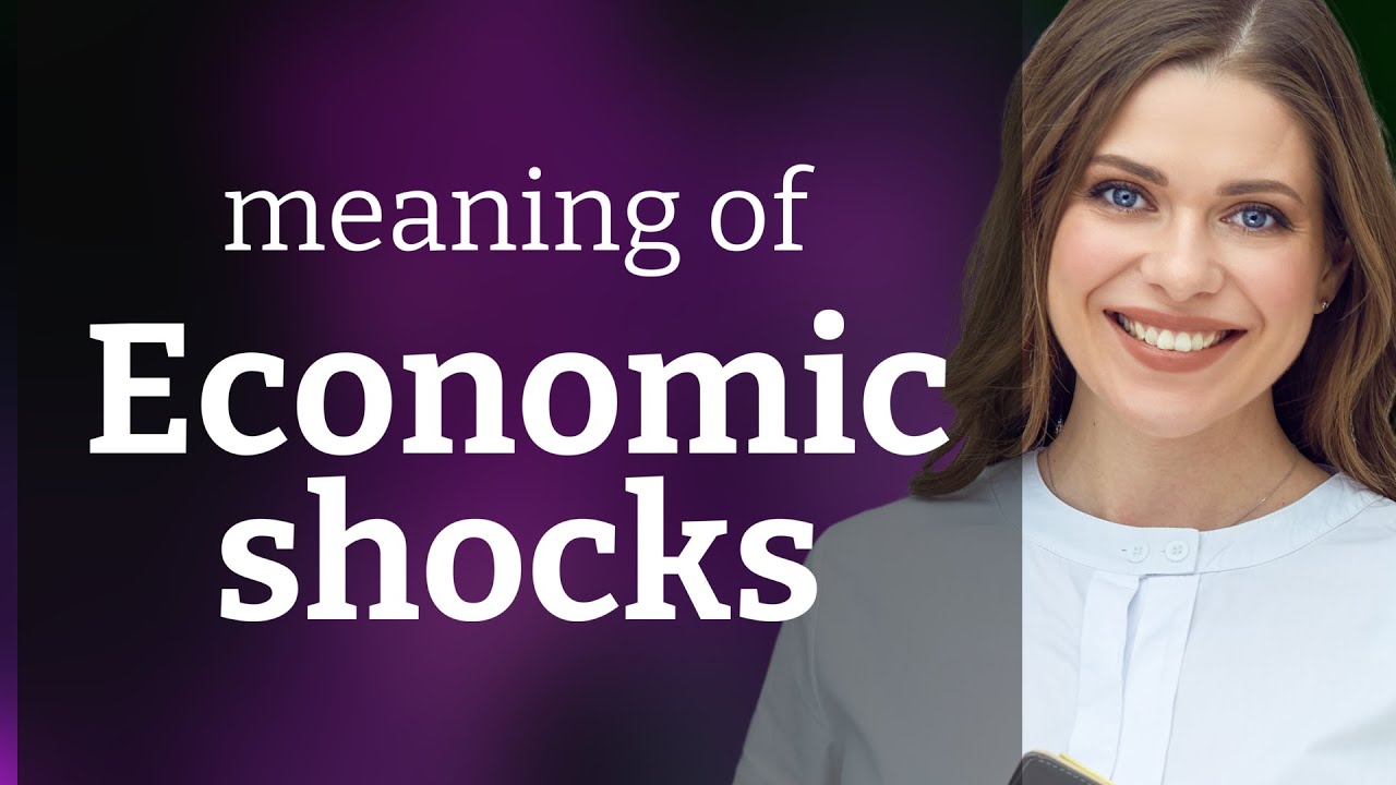 Understanding Economic Shocks: A Guide for English Language Learners