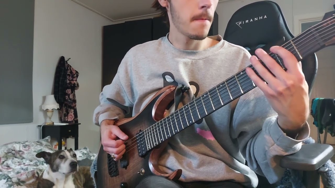 Djenting some djent riffs on a djenty djent guitar