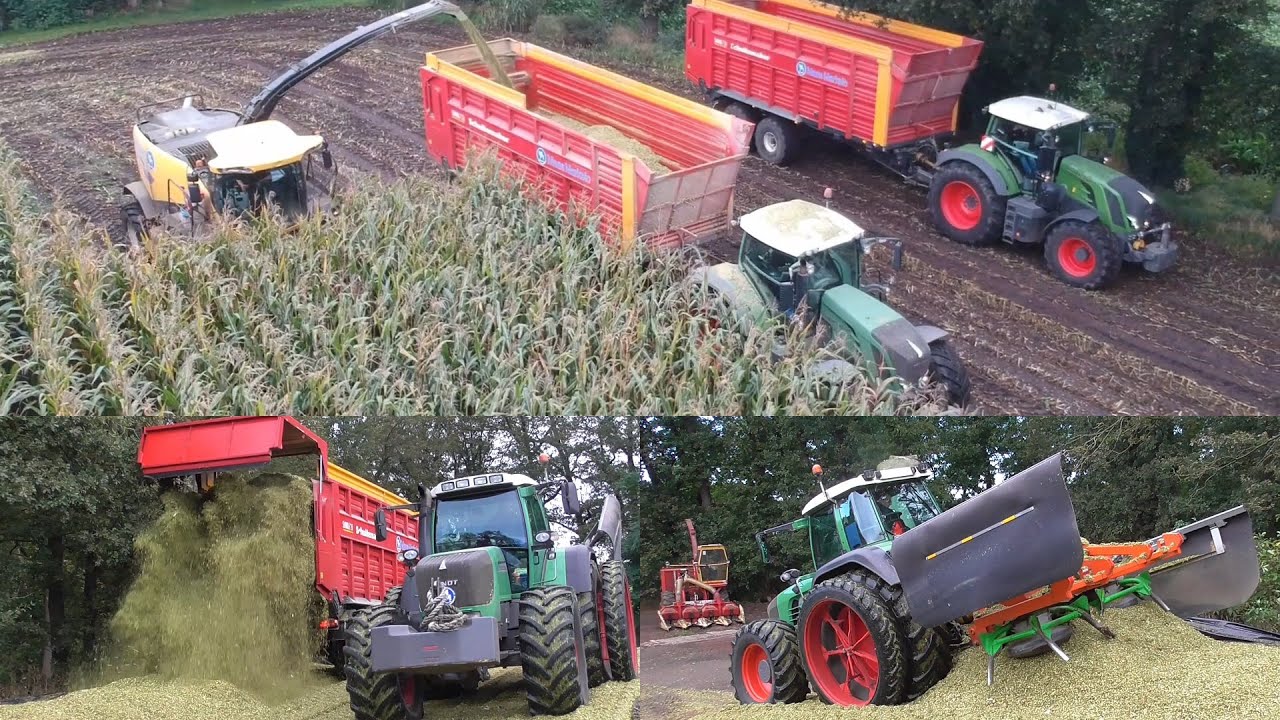 Maas chopping corn