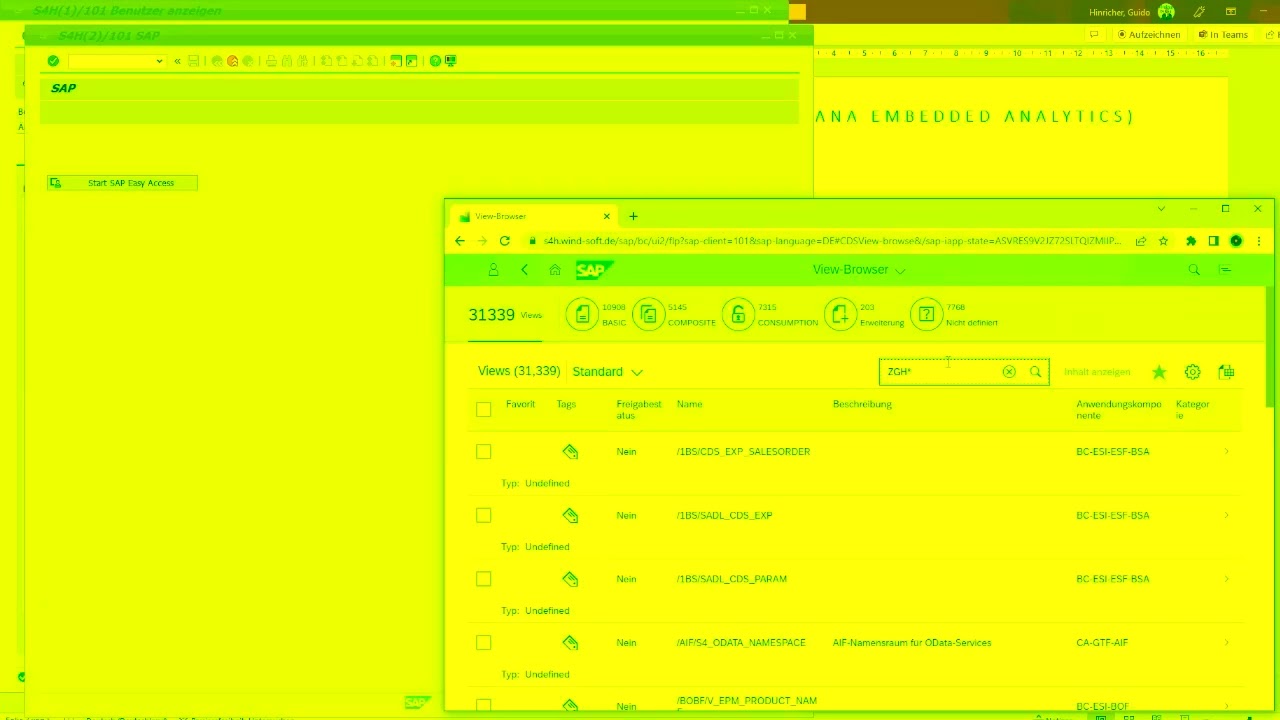 SAP CDS View zu Fiori Launchpad SAP S4HANA Embedded Analytics (Windhoff-Group)