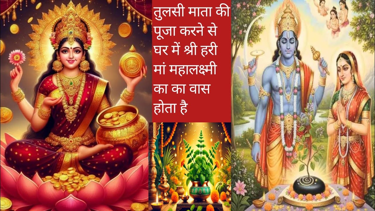 तुलसी पूजा के फायदे घर में सुख समृद्धि कैसे बढ़ती है You WorshipTulsi PlantHidden Benefits Explained