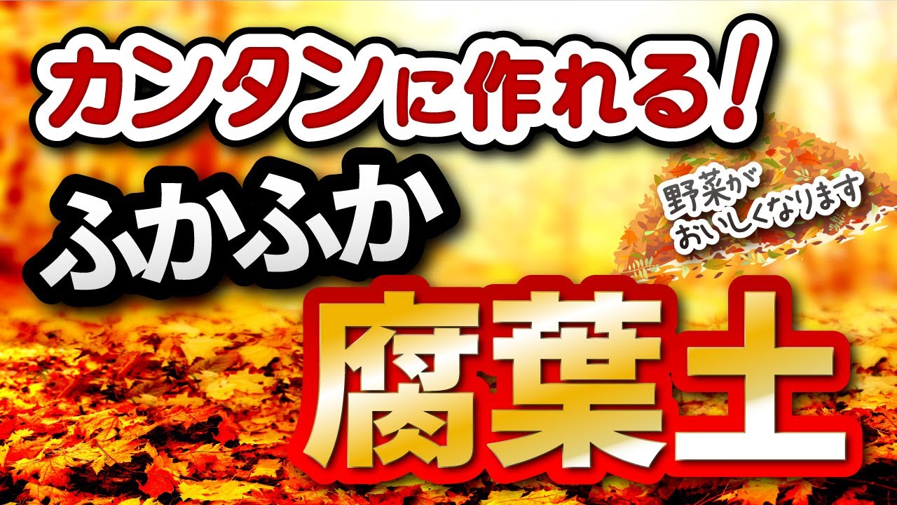 15分でつくれる！かんたん「腐葉土」の作り方【家庭菜園】