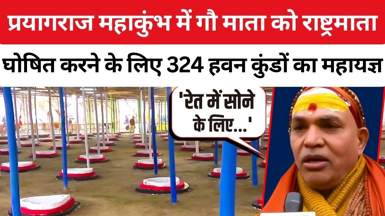 National Mother Cow: गाय को राष्ट्रमाता के पद पर स्थापित करने के लिए 324 कुंडीय यज्ञ शुरू l Gaumata