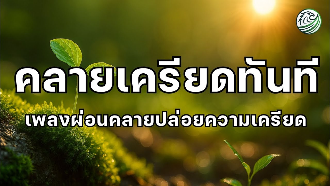 ปล่อยความเครียดสะสมให้หายไปทันที ดนตรีผ่อนคลาย เพลงผ่อนคลาย เพลงบำบัดความเครียด เพลงบำบัดจิตใจ 