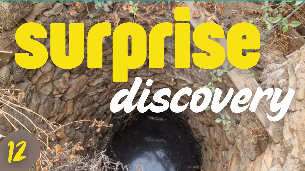 #12 Permaculture Visit | Restoring a 5 acre farm in Spain