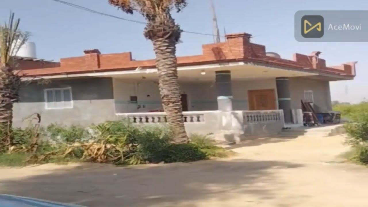 2ونصف فدان بحاري البستان  بقرية الامام مالك