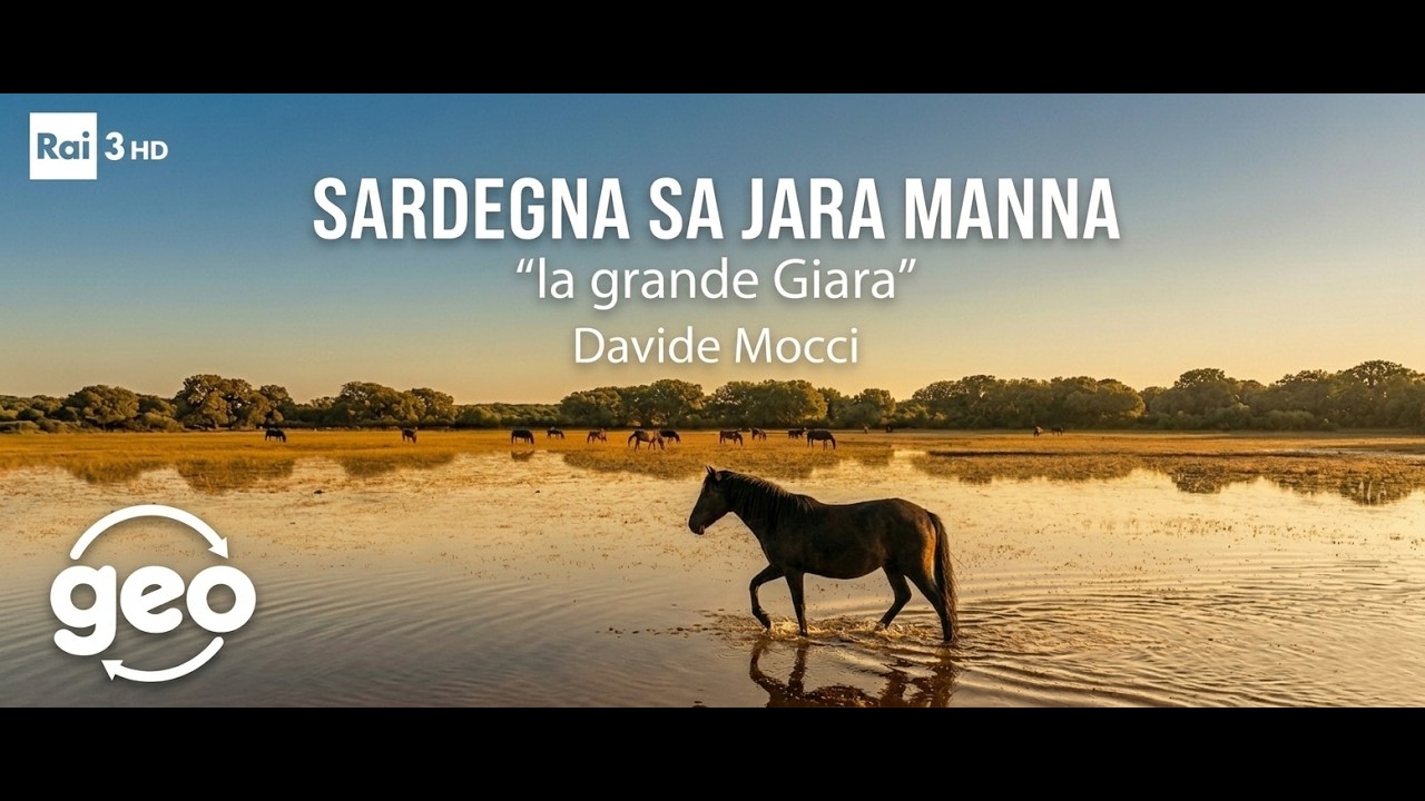 SARDEGNA SA JARA MANNA #davidemocci DOC RAI GEO -ALTOPIANO della GIARA Sardinia  Pane sardo RAIPLAY