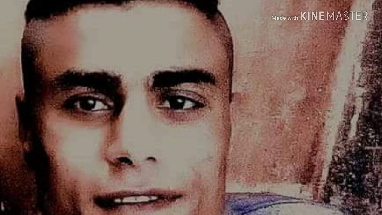 اغنية الشهيد محمد زغلول الريماوي