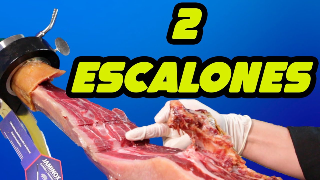 ⏩8/9 Escalones tibia y peroné en babilla  | 8º Tutorial Jamón FINCATUNA