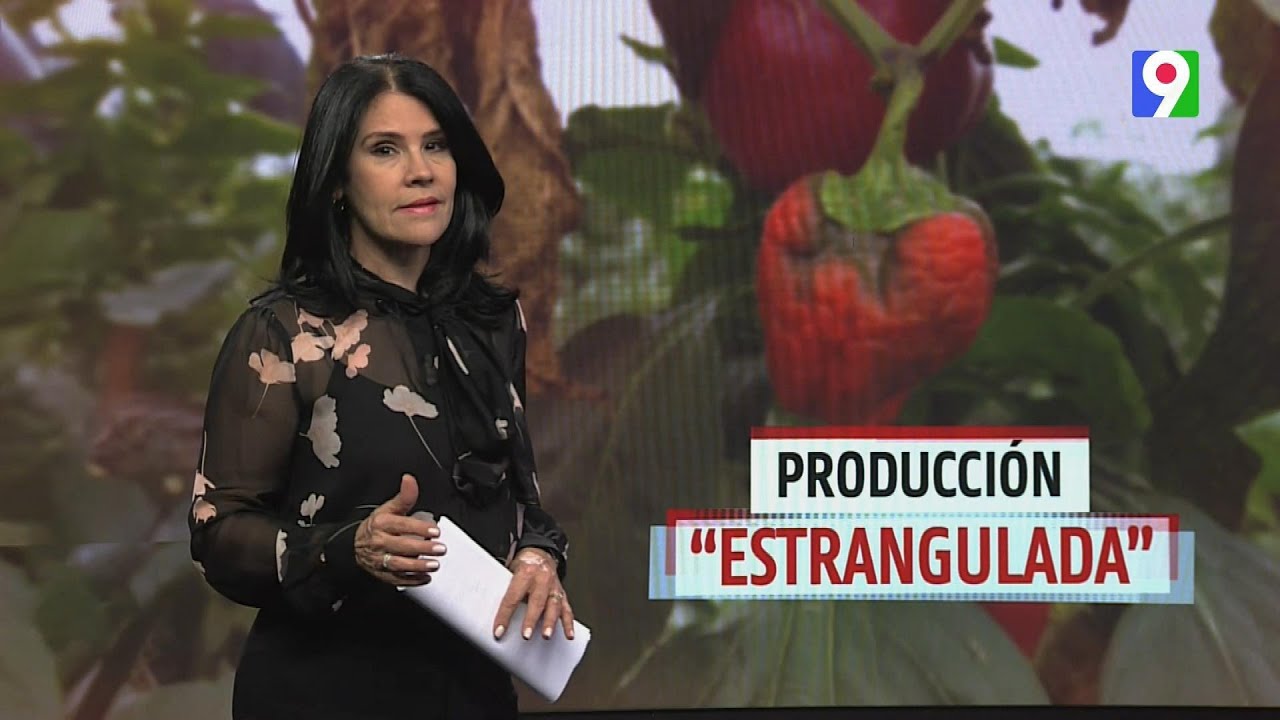 Alicia Ortega nos trae &ldquo;Producci&oacute;n Estrangulada