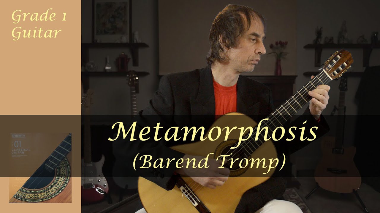 Metamorphosis (Barend Tromp)