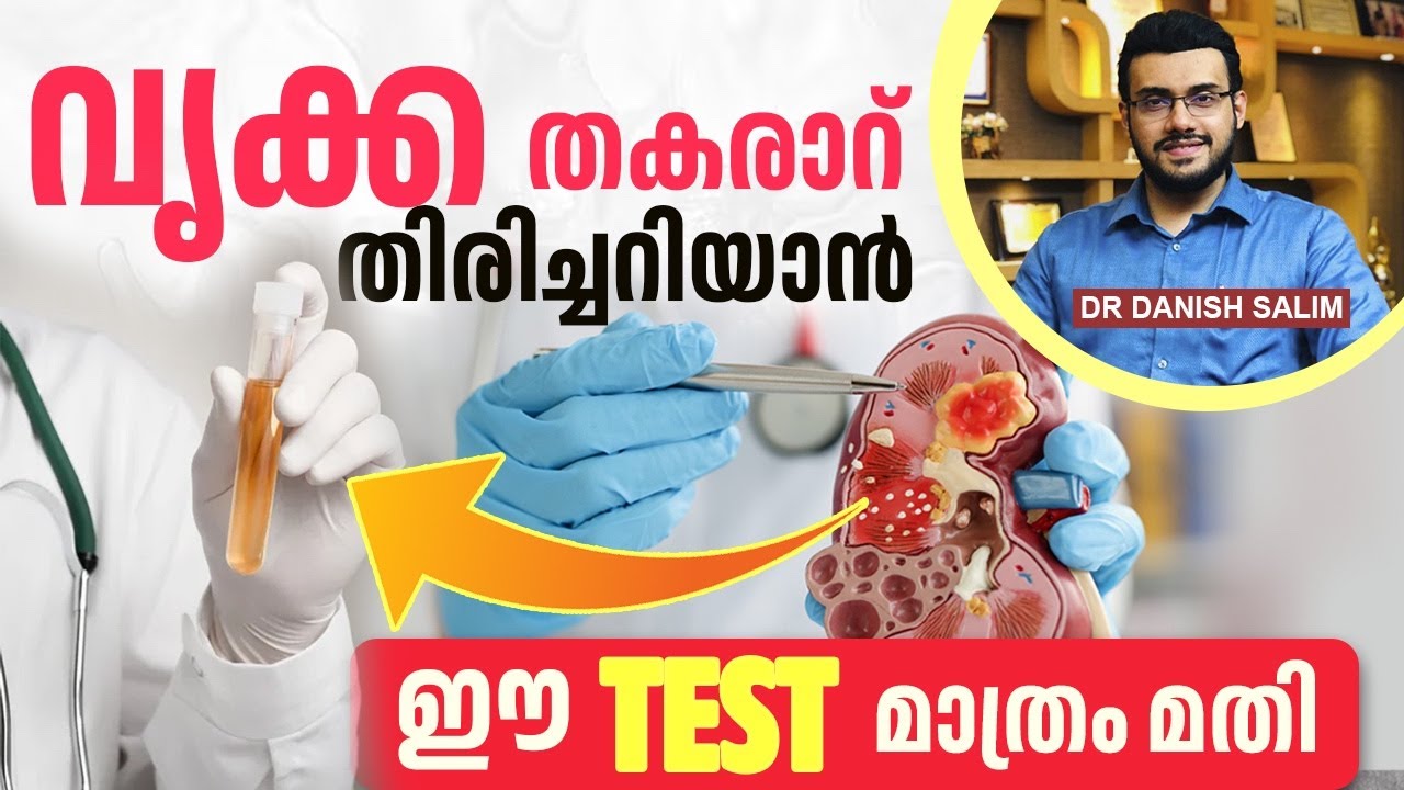 2295 :  വൃക്ക തകരാറുകൾ എങ്ങനെ കണ്ടെത്താം? എങ്ങനെ പരിഹരിക്കാം ? | Know your Kidneys.