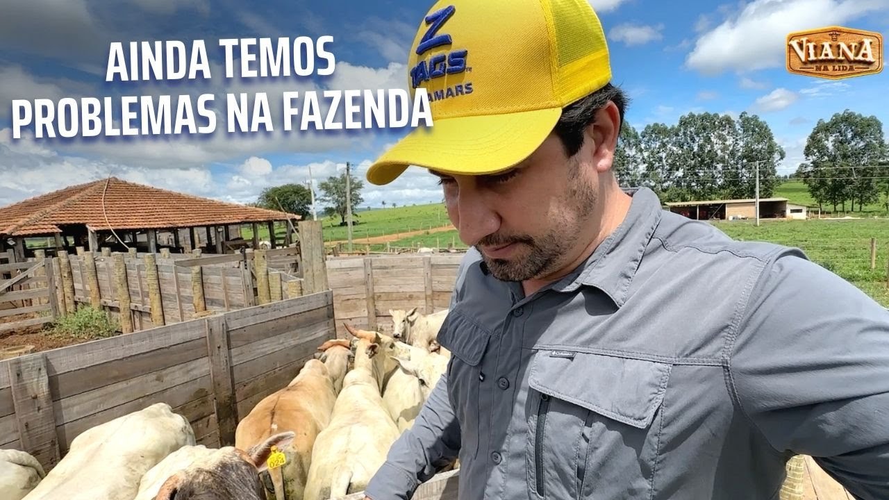 Problemas no manejo da fazenda. Já melhorou muito, mas ainda temos alguns problemas para o IATF