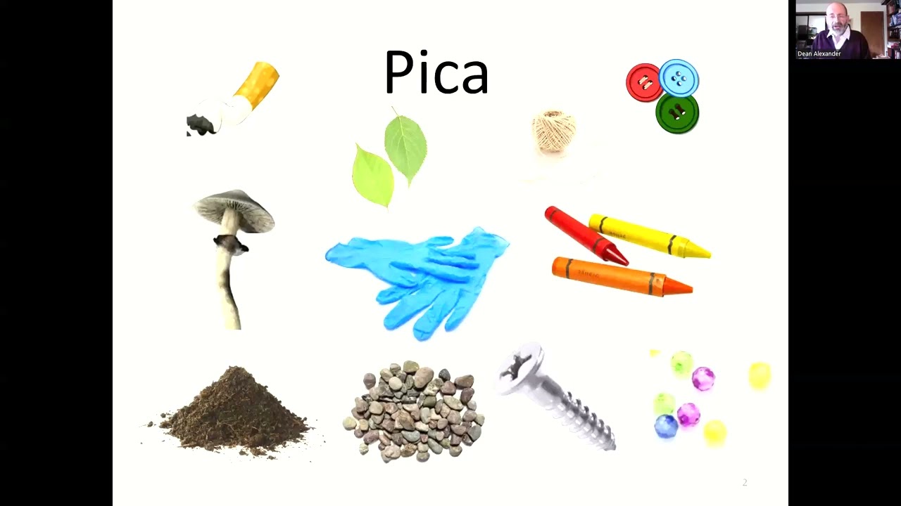 PICA and Autism