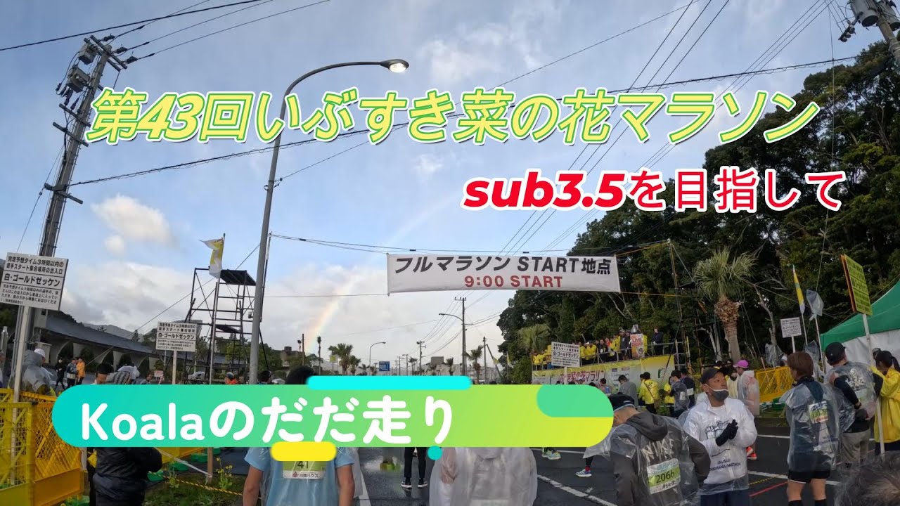 【第43回いぶすき菜の花マラソン】をだだ走り　-SUB3.5に挑戦-