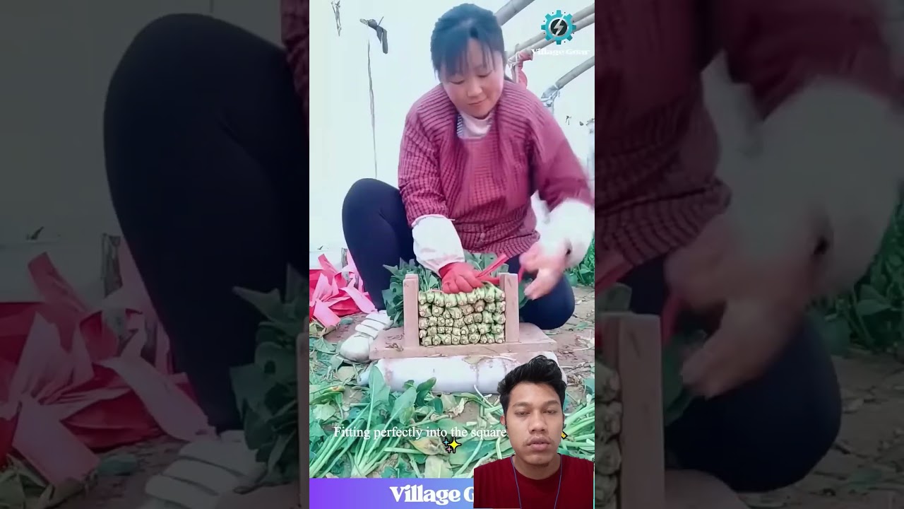 This NOT Just Vegetables Bundling!🥬Witness the PERFECT Slicing and Packing Speed! #farming
