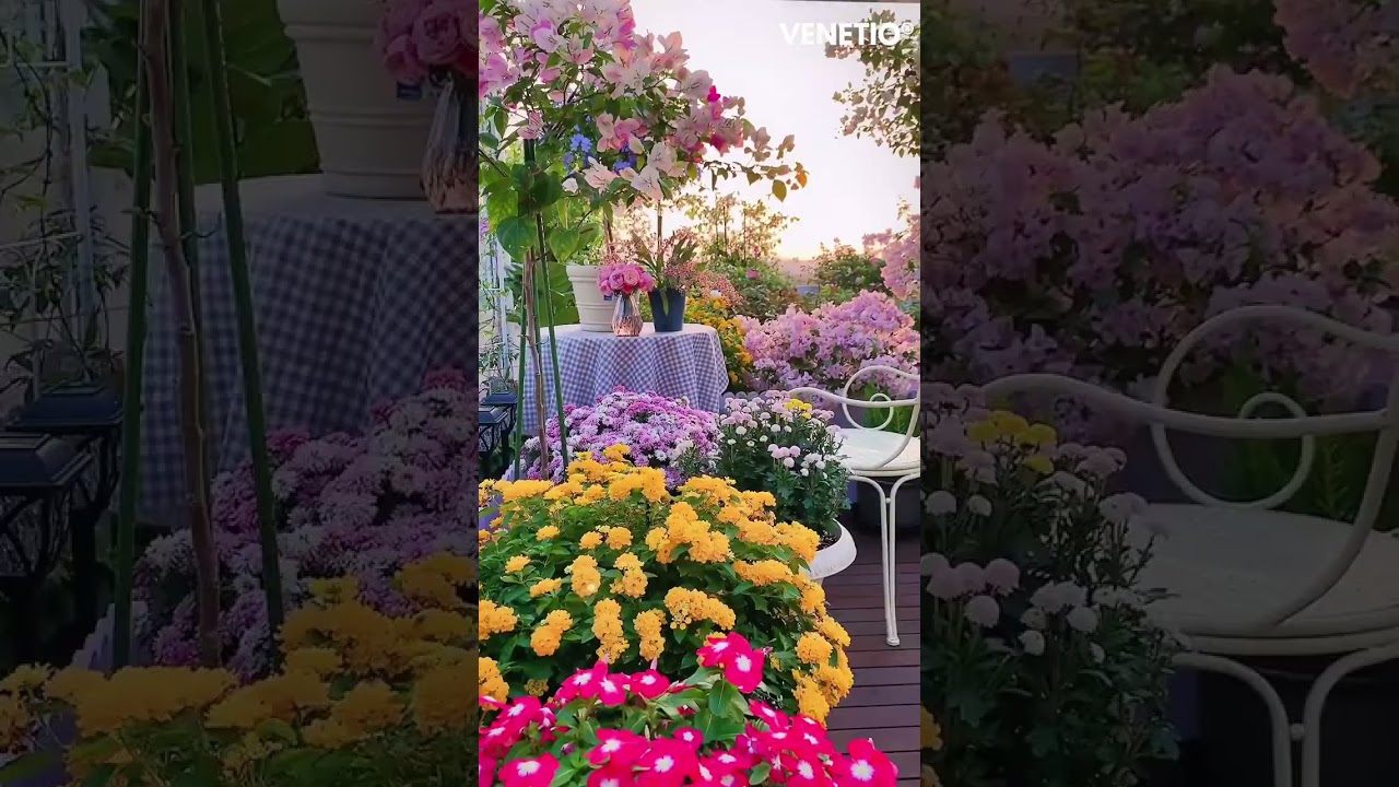 🌅 How to Create a Garden Paradise: A Sunset Serenade 🌺 #gardenromance