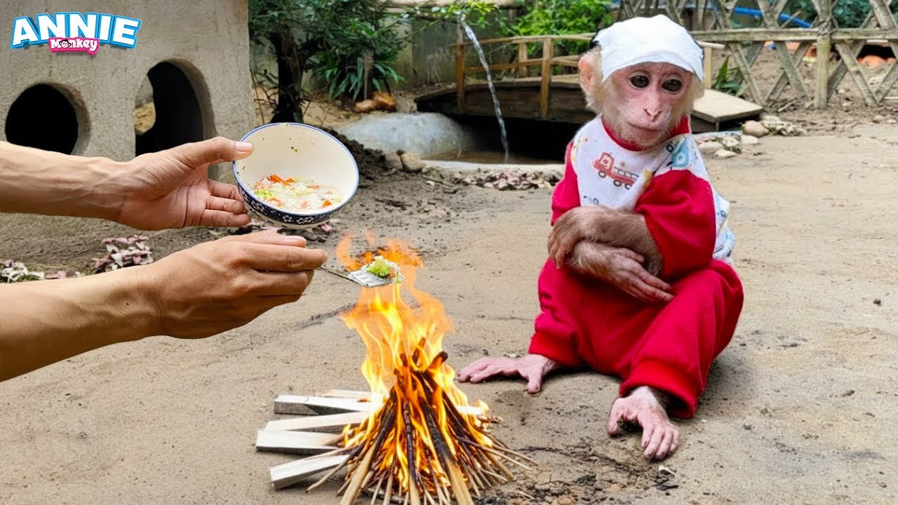 So sad! Dad made soup for monkey Annie when she was sick! | Mini cooking