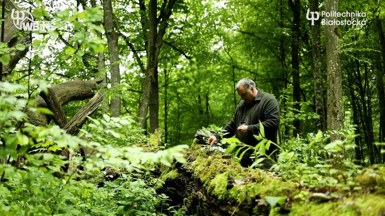 Katedra Hodowli i Użytkowania Lasu to miejsce, w którym natura spotyka się z nauką.
