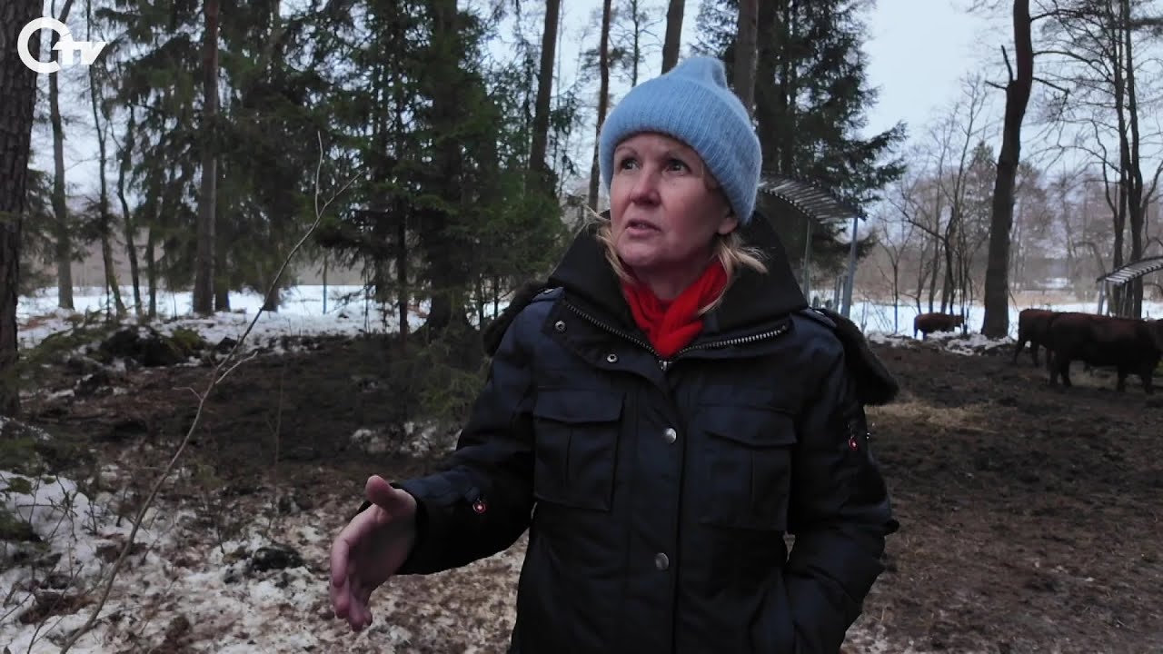 OTV Oberpfalz: Umweltministerin Steffi Lemke inspiziert Weidenprojekt