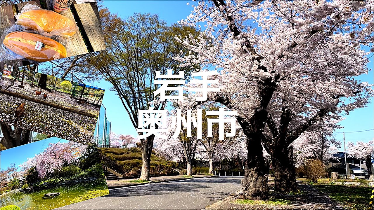 ｛岩手の休日｝お花見旅〜水沢公園〜｛奥州市｝