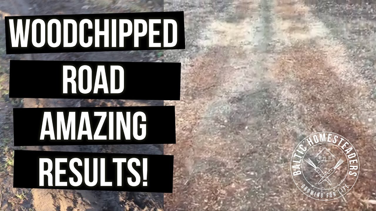 Wood chips on our mud road - AMAZING RESULTS!