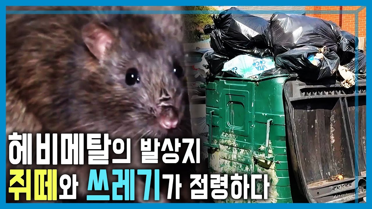 영국 버밍엄 쓰레기 대란 (KBS_414회_2025.08.09.방송)