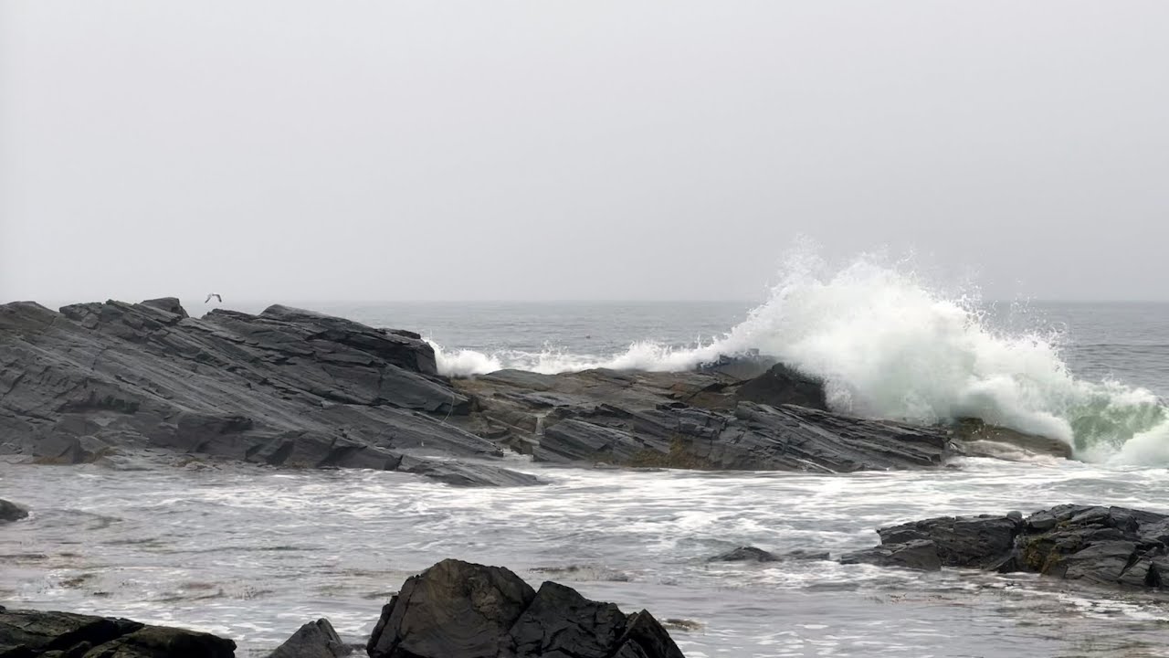 The Missing Names In Maine