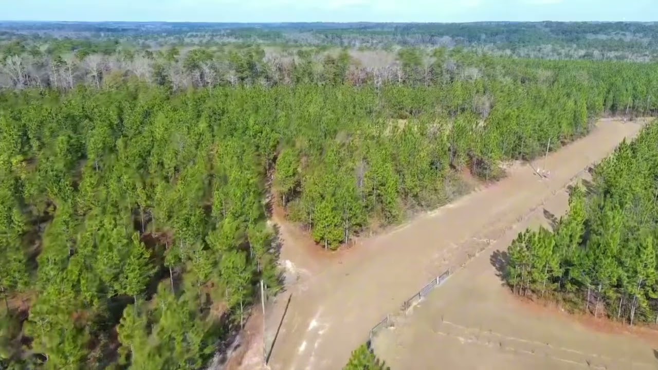 🌳 Land for Sale in Pace, FL | 0 Mustard Seed Lane | Build Your Dream Home