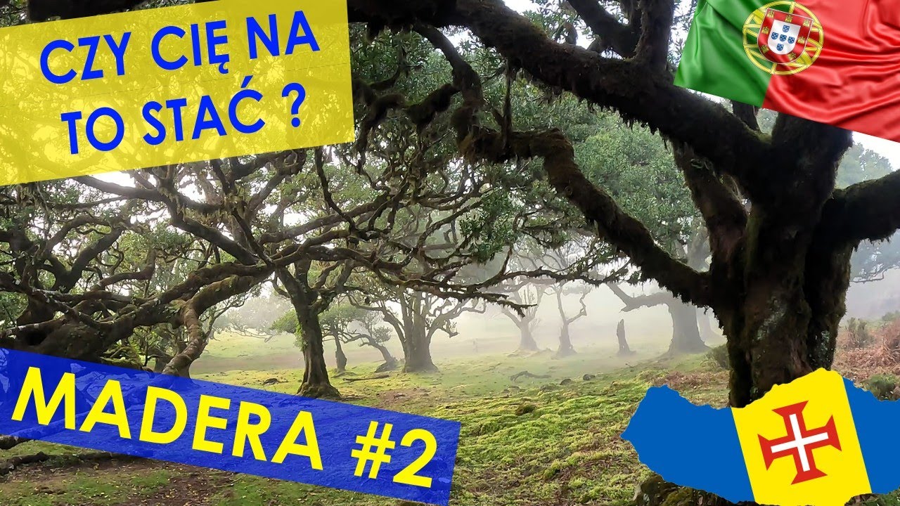Jak zwiedzić Maderę tanio w 2025❓Las Fanal i kolejka linowa za 5 EUR 🚡 Madera Vlog #2