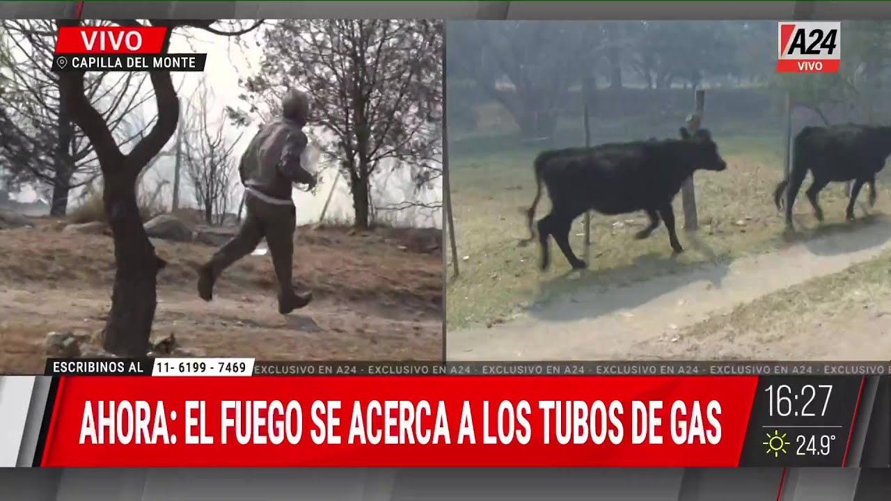 🔴ALERTA 🔴 MILES DE HECTÁREAS ARRASADAS POR EL FUEGO EN CÓRDOBA