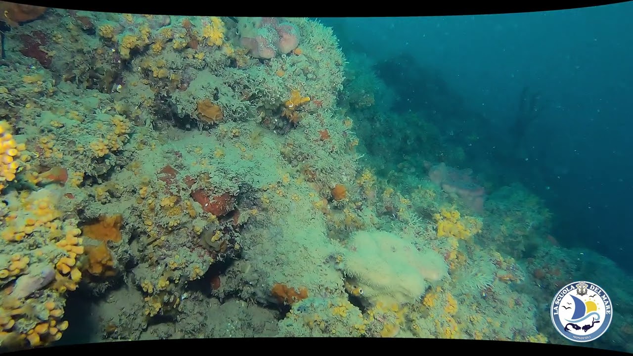 esplorazione subacquea 4K
