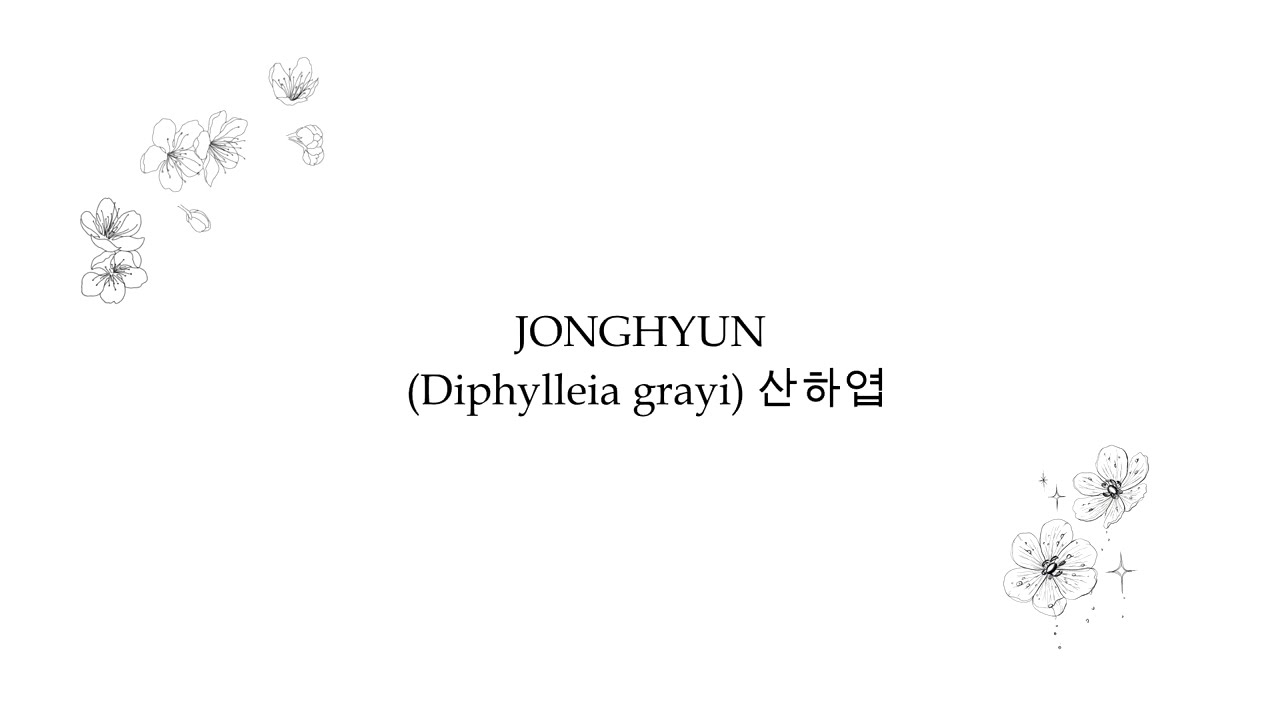 JONGHYUN - Skeleton Flower (rus) | Diphylleia Grayi | Aka