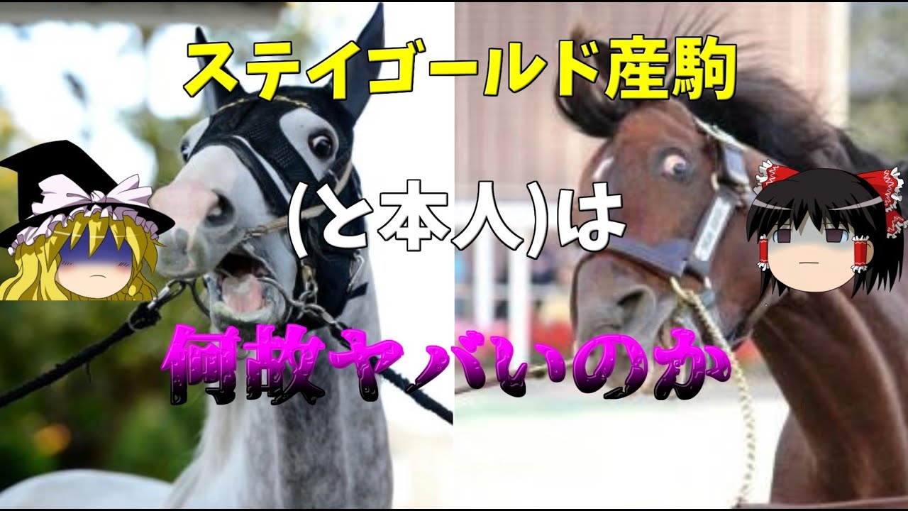 【ゆっくり競馬解説】ステイゴールド産駒と本人は何故ヤバいのか？【ざっくり考察】