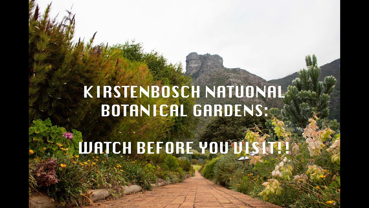 KIRSTENBOSCH BOTANICAL GARDENS - WATCH BEFORE YOU VISIT!!