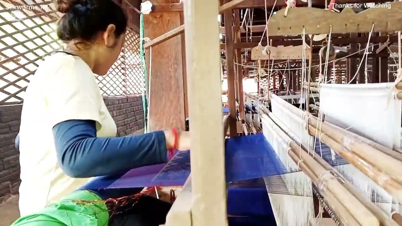 How Cambodian beautiful weaver she weaving pure silk scarf four days to makes one on Handloom.