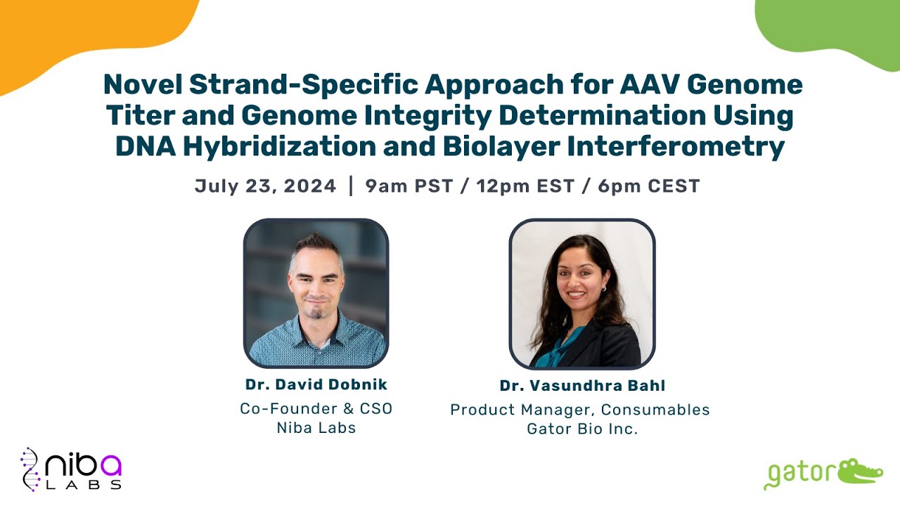 Novel Approach for AAV Genome Titer & Genome Integrity Determination Using DNA Hybridization and BLI