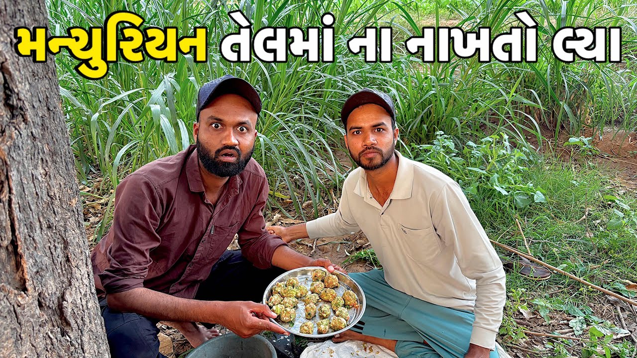મન્ચુરિયન બનાવતા કાંડ થયો 😡 | Gujarati Desi Vlog 