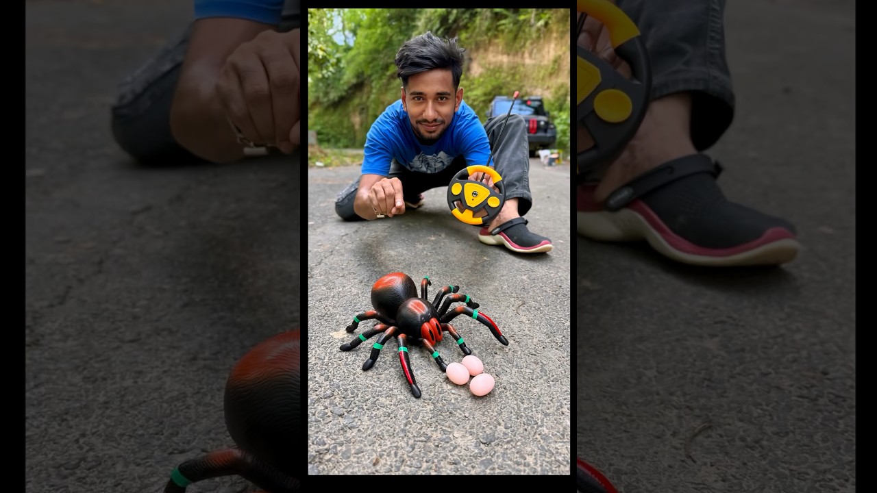 Egg wala remote control spider Unboxing