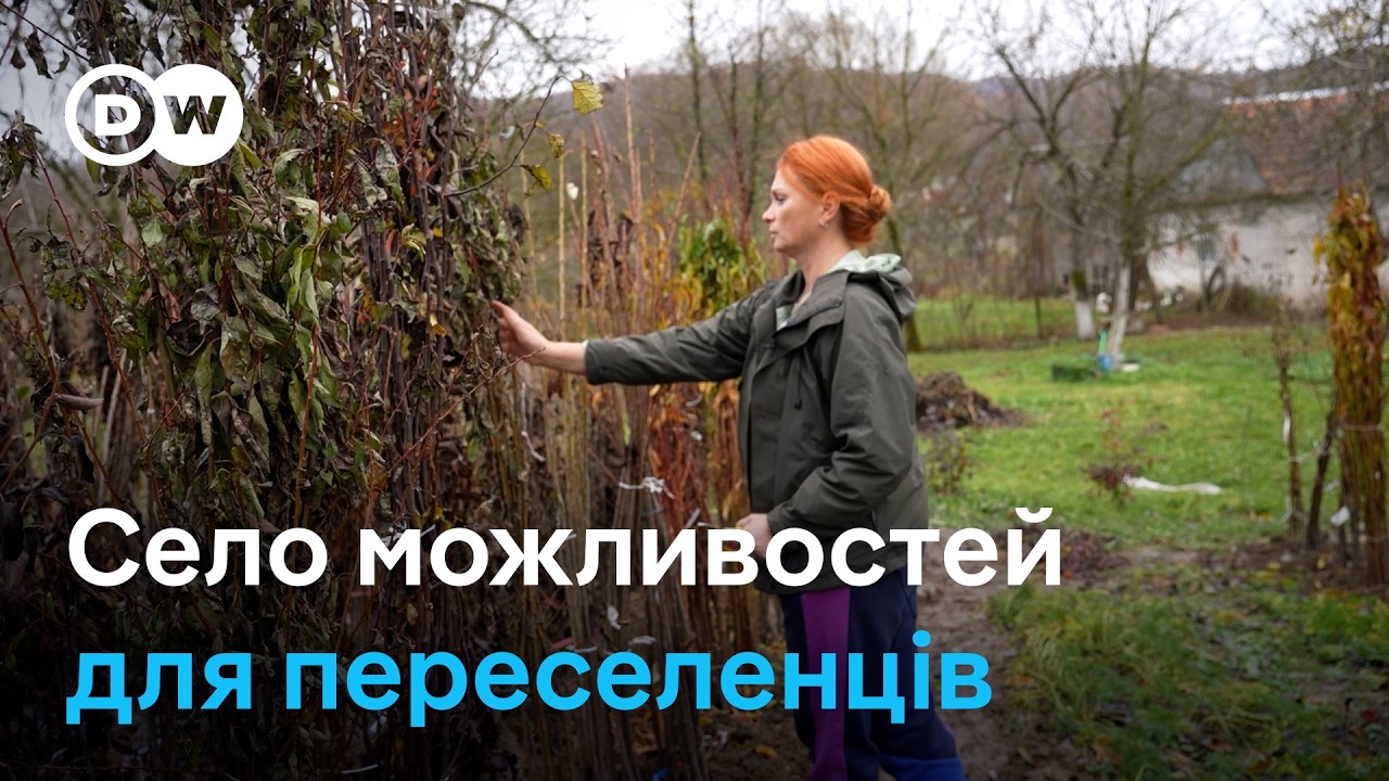Як колись депресивне село на Закарпатті приваблює малий бізнес і ВПО | DW Ukrainian