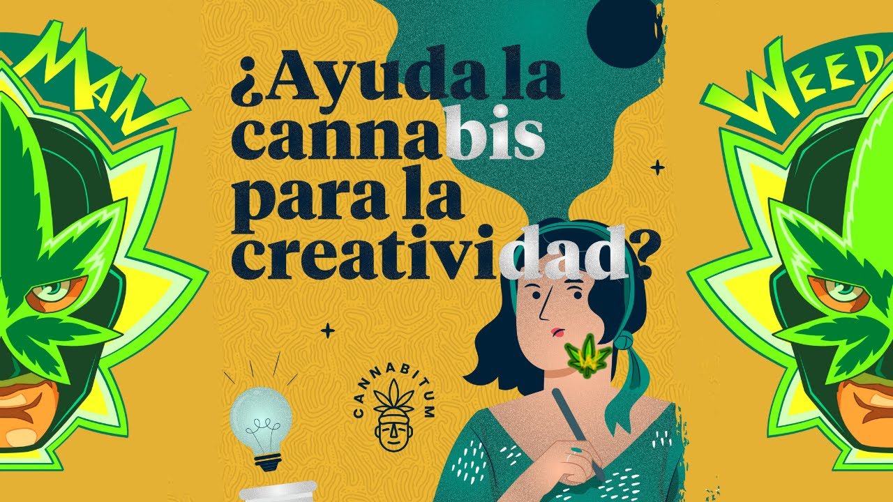Ayuda el cannabis para la creatividad influye la marihuana en la creatividad #weedmanweeds #cannabis
