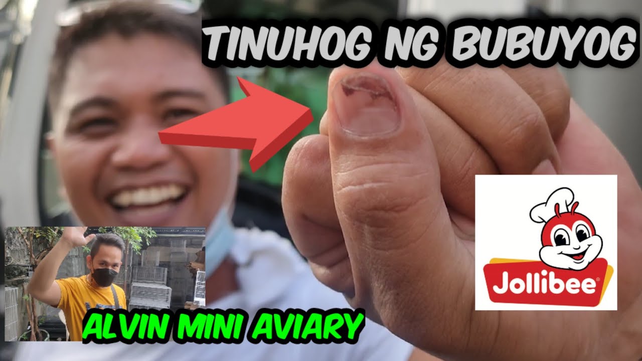 Bubuyog ng Bataan dumayo | Alyas Japs todo suporta | Alvin mini aviary | Team Bashers