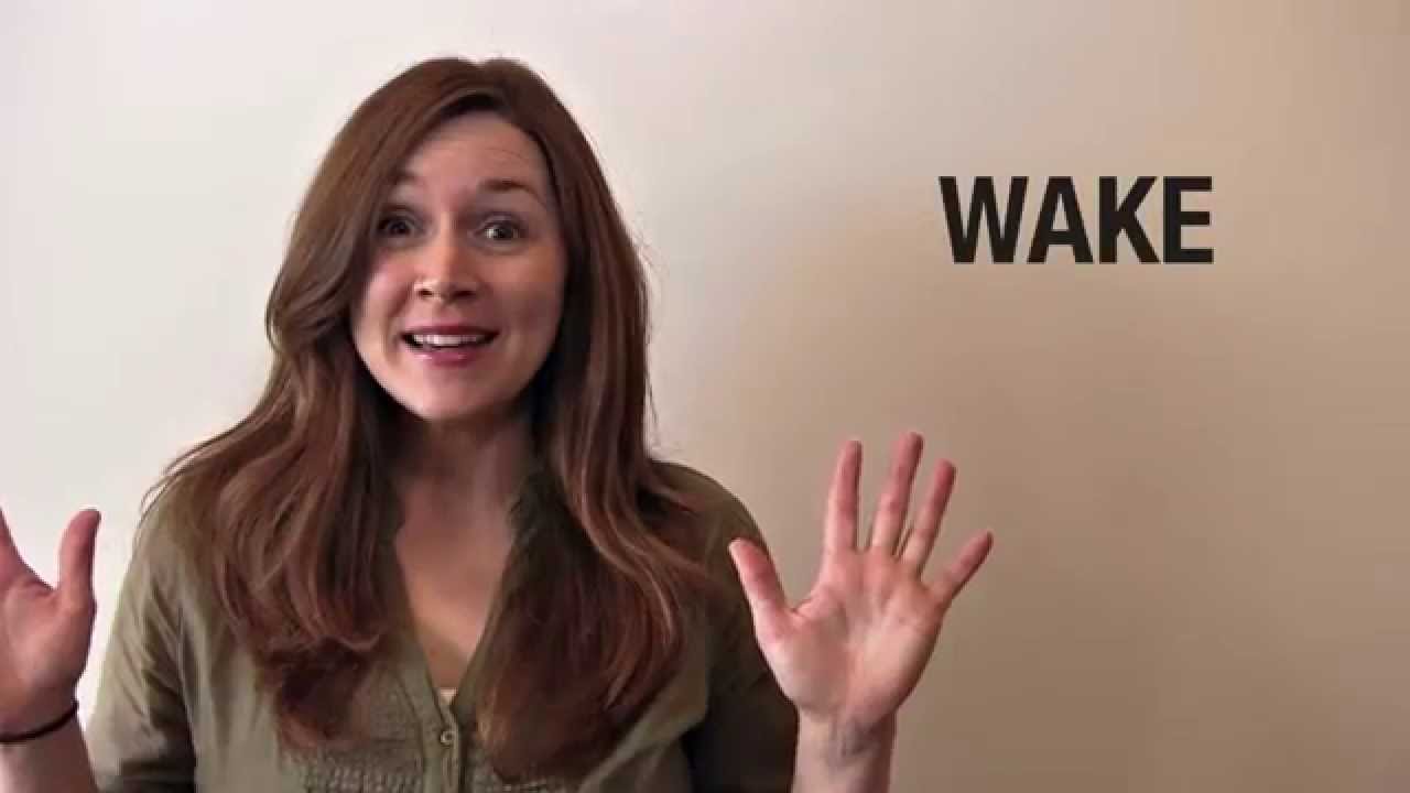 Wake | Spotlight's Word of the Day